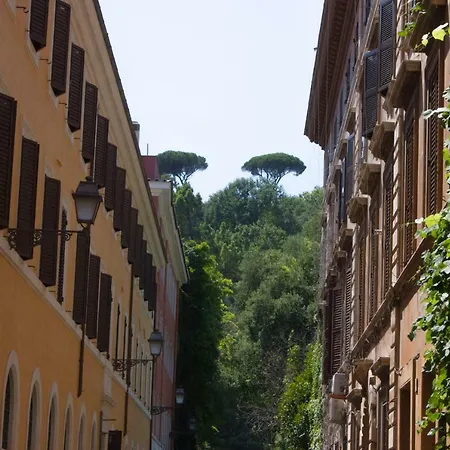 Feline House Trastevere * Rome